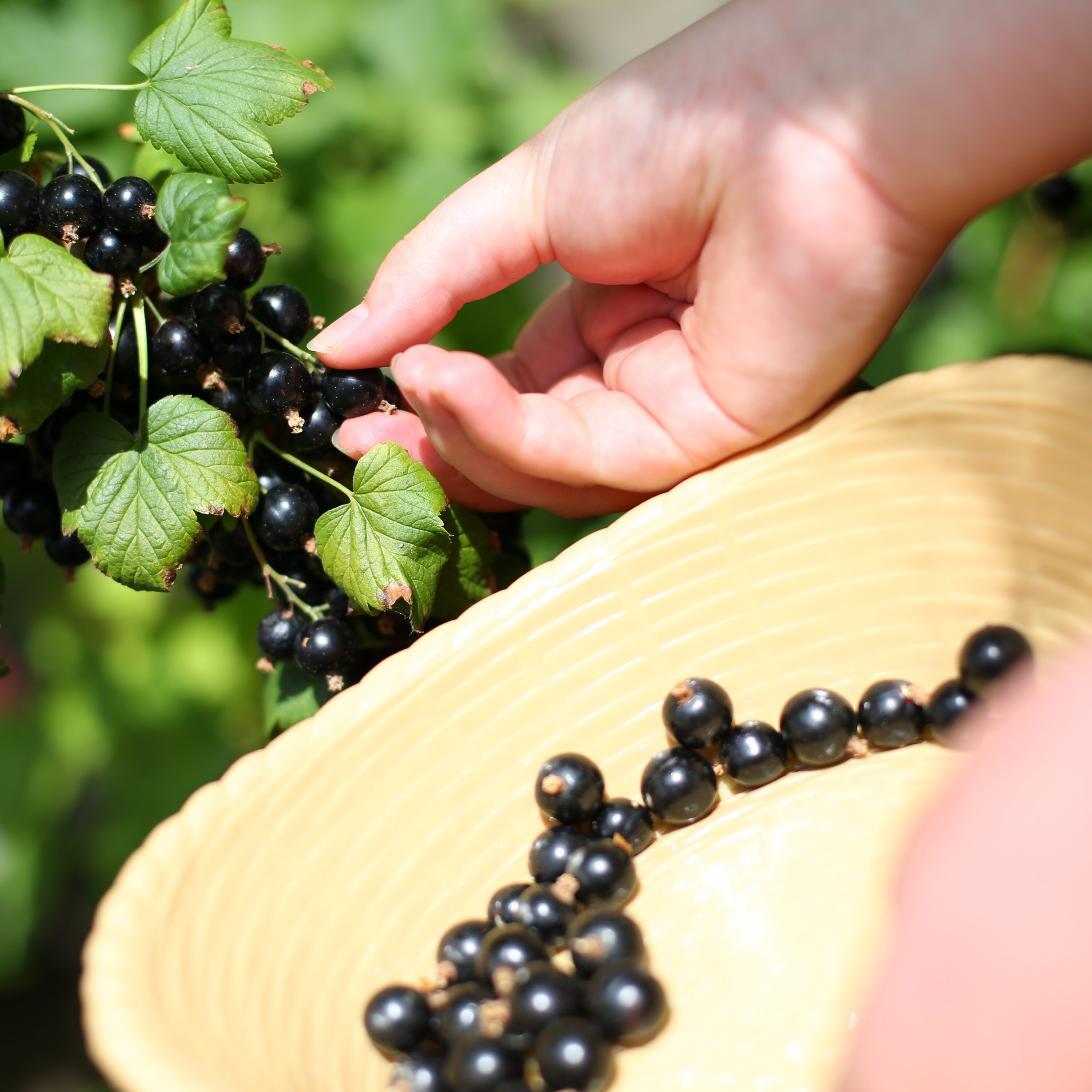 Leading provider of specialist education and residential care.